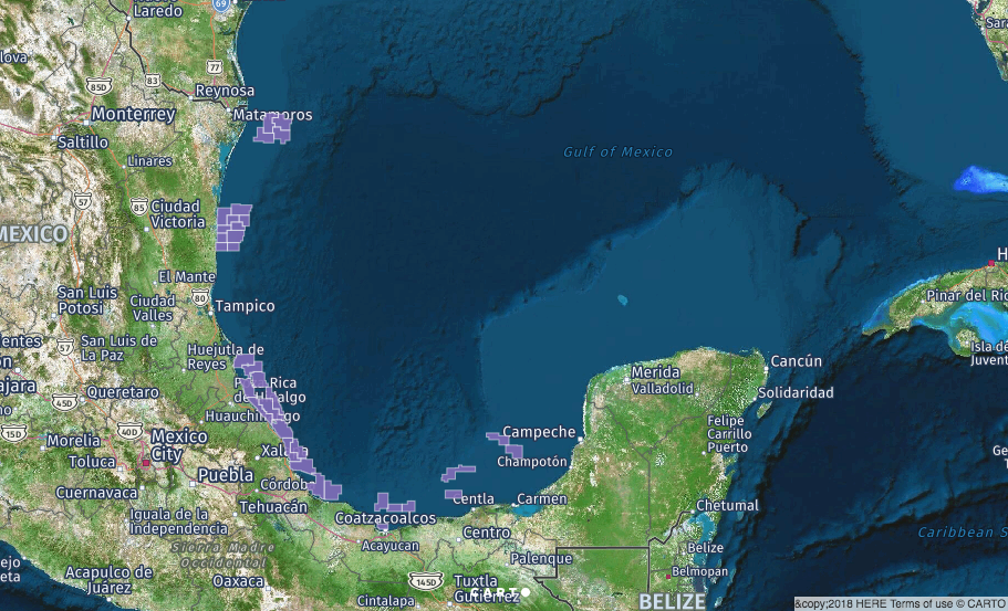 Petroleiras internacionais ampliam portfólio em rodada mexicana