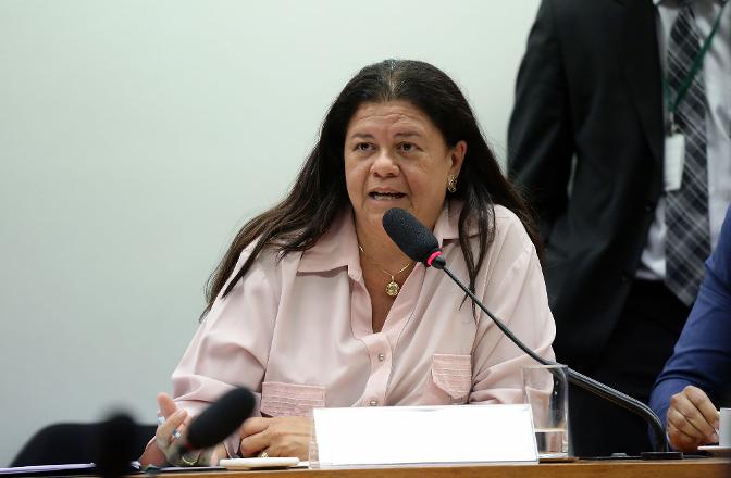 A deputada Laura Carneiro é a autora do PL 10.203. Foto: Cleia Viana/Câmara dos deputados