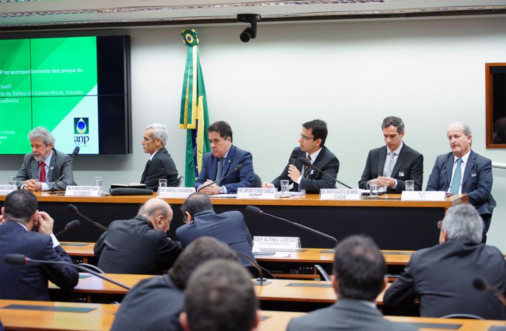 Audiência pública sobre a situação dos preços dos combustíveis no Brasil. Foto: Will Shutter/Câmara dos Deputados