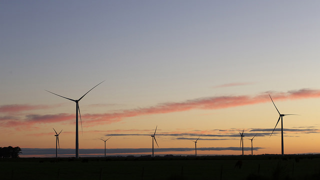 Petrobras, Total e Total Eren buscam projetos em energia eólica e solar no Brasil