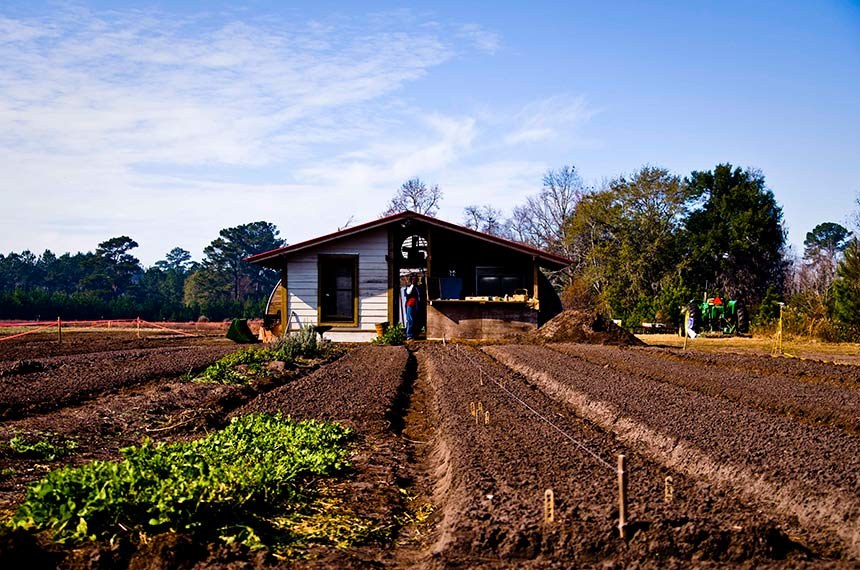 Assentamento rural. Foto: Ken Hawkins/ABr