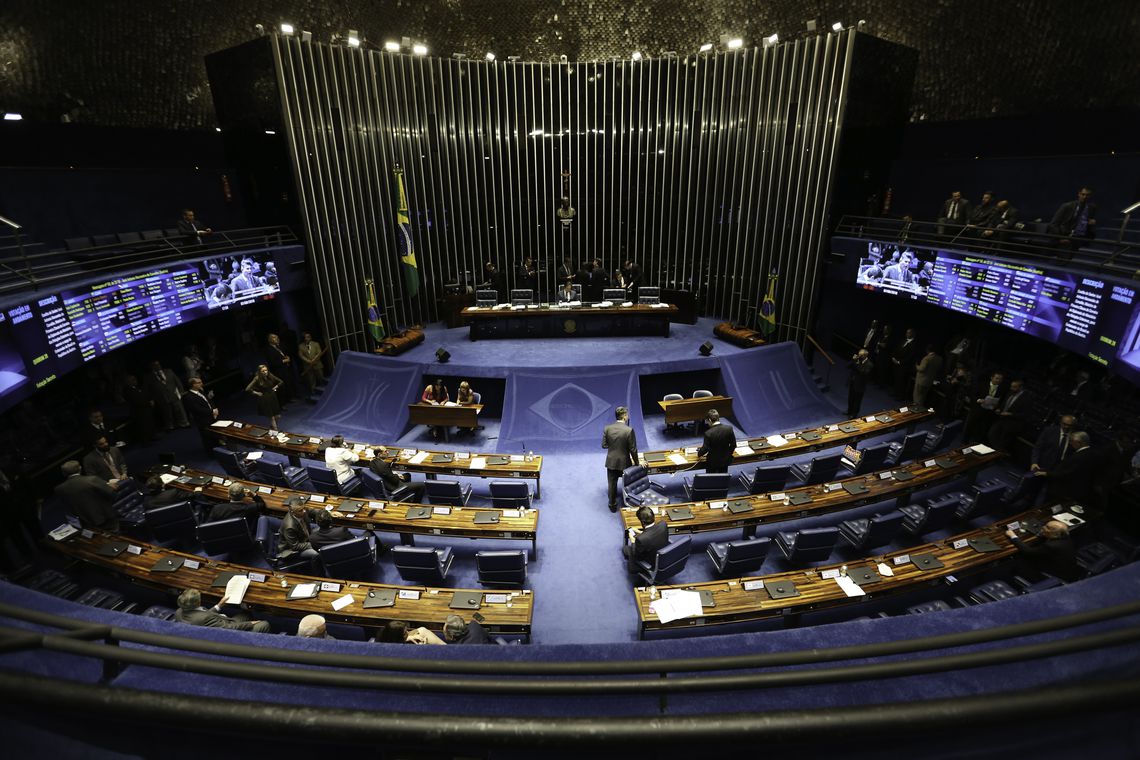 Plenário do Senado define hoje novo presidente da Casa para biênio 2019-2020 / Foto: EBC