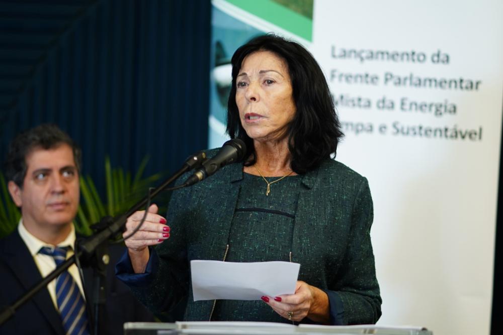 Marisete Pereira,, secretária-executiva do Ministério de Minas e Energia, no lançamento da frente (Foto: Pablo Valadares/Câmara dos Deputados)