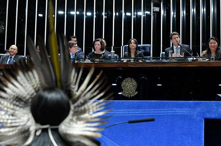 Política ambiental de Bolsonaro é alvo de críticas no Senado