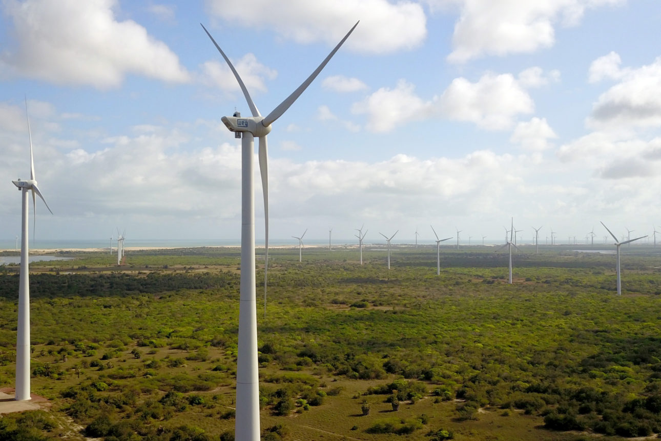 Mercado brasileiro de green bonds volta a crescer e movimenta US$ 1,2 bi em 2019