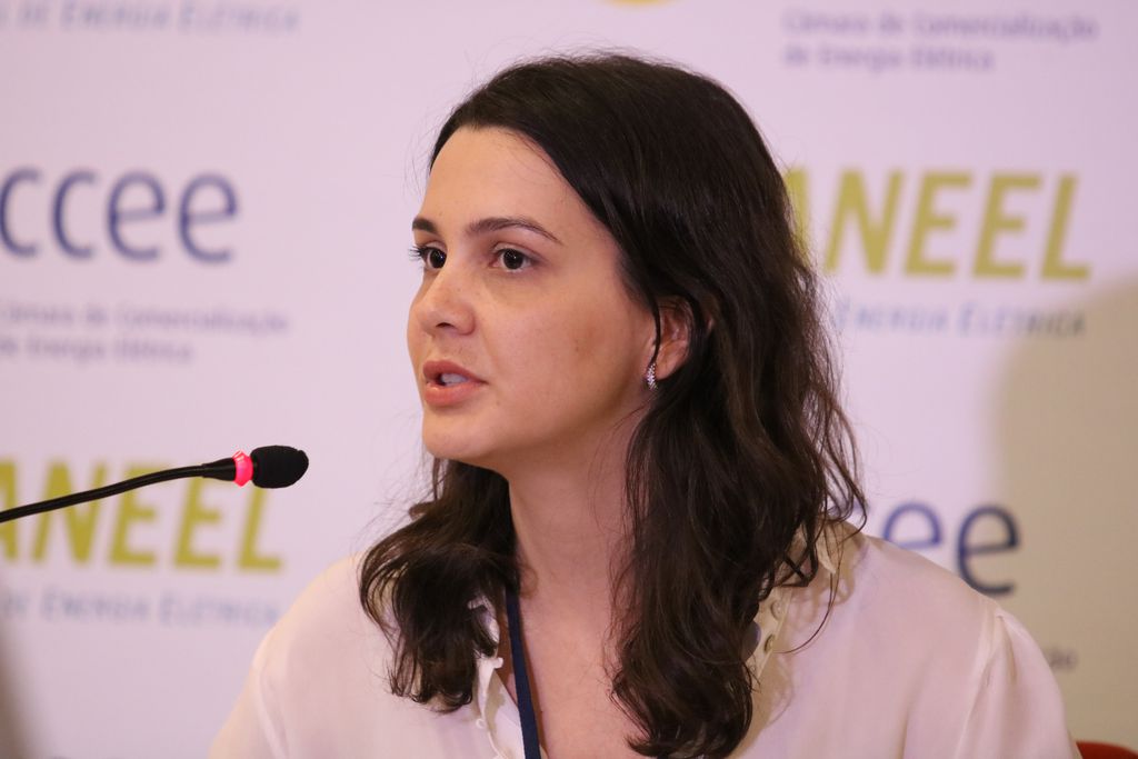 Diretora da Agência Nacional de Energia Elétrica (Aneel), Elisa Bastos, fala com a imprensa após o leilão de Geração A-6, na sede da Câmara de Comercialização de Energia Elétrica (CCEE). Foto: Rovena Rosa, Agência Brasil