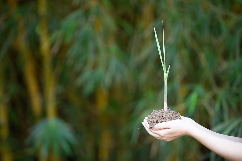 Projetos verdes dão sinais de resiliência com emissões de US$ 53 bilhões em green bonds