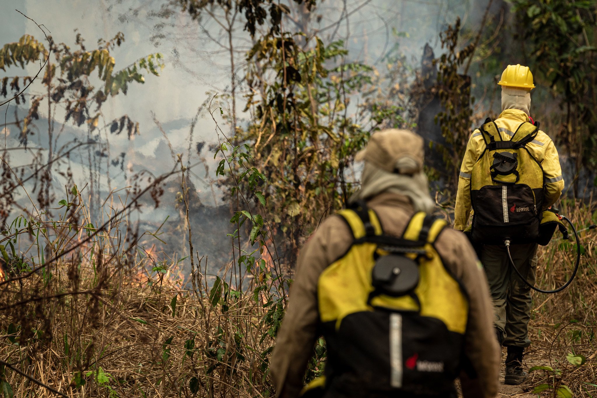 Brigadistas do Prevfogo/Ibama participam de operação conjunta para combater incêndios na Amazônia

 

Foto: Vinícius Mendonça/Ibama