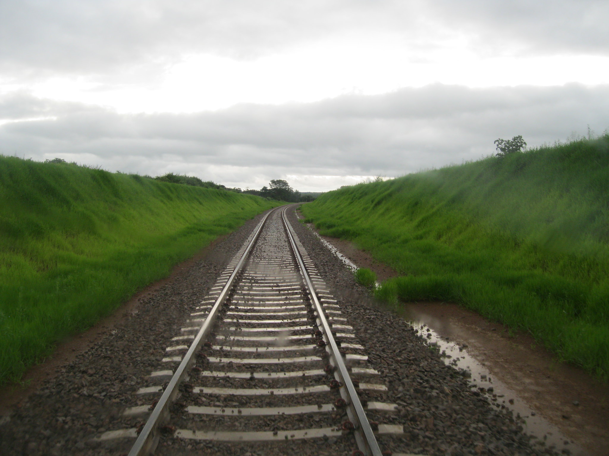 Leilão de ferrovia com green bonds programado para o primeiro trimestre de 2021