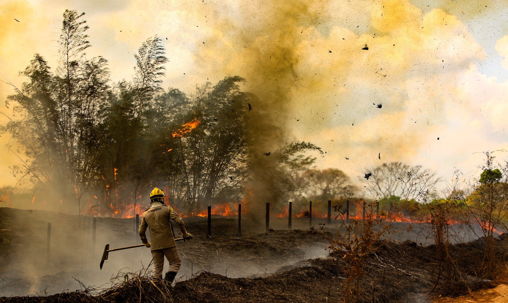 Brigadista combate chamas em Rio Branco, no Acre. Foto por Sérgio Vale, agência Amazônia Real, agosto de 2020