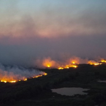 Incendios florestais entre Miranda e Corumbá BR 262 e MS 184