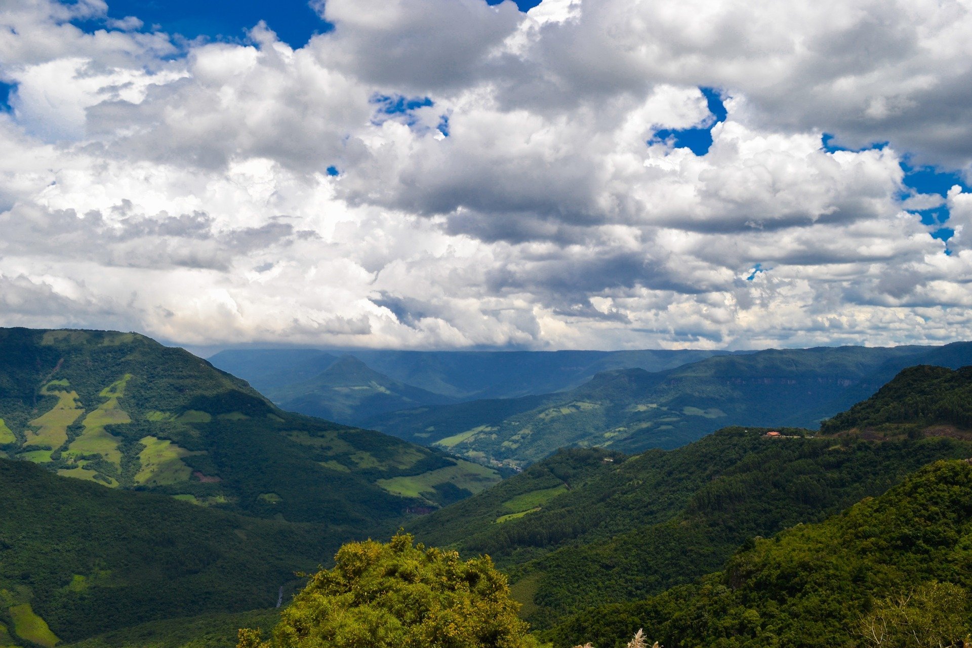 Equinor anuncia acordo para preservação e reflorestamento de Mata Atlântica no Brasil