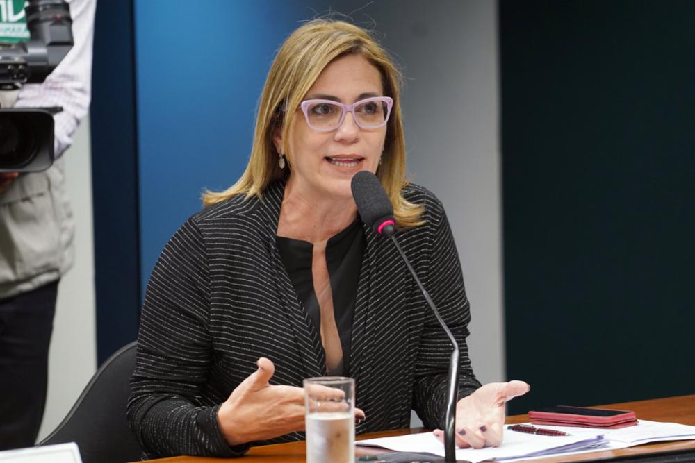 Audiência pública sobre os planos de saúde e a crescente população idosa no Brasil. Dep. Rosana Valle (PSB - SP). Foto: Pablo Valadares/Câmara dos Deputados