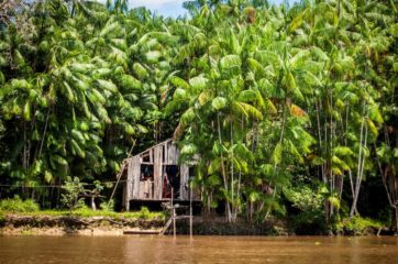 Mais luz para Amazônia vai demandar maior integração com comunidades locais