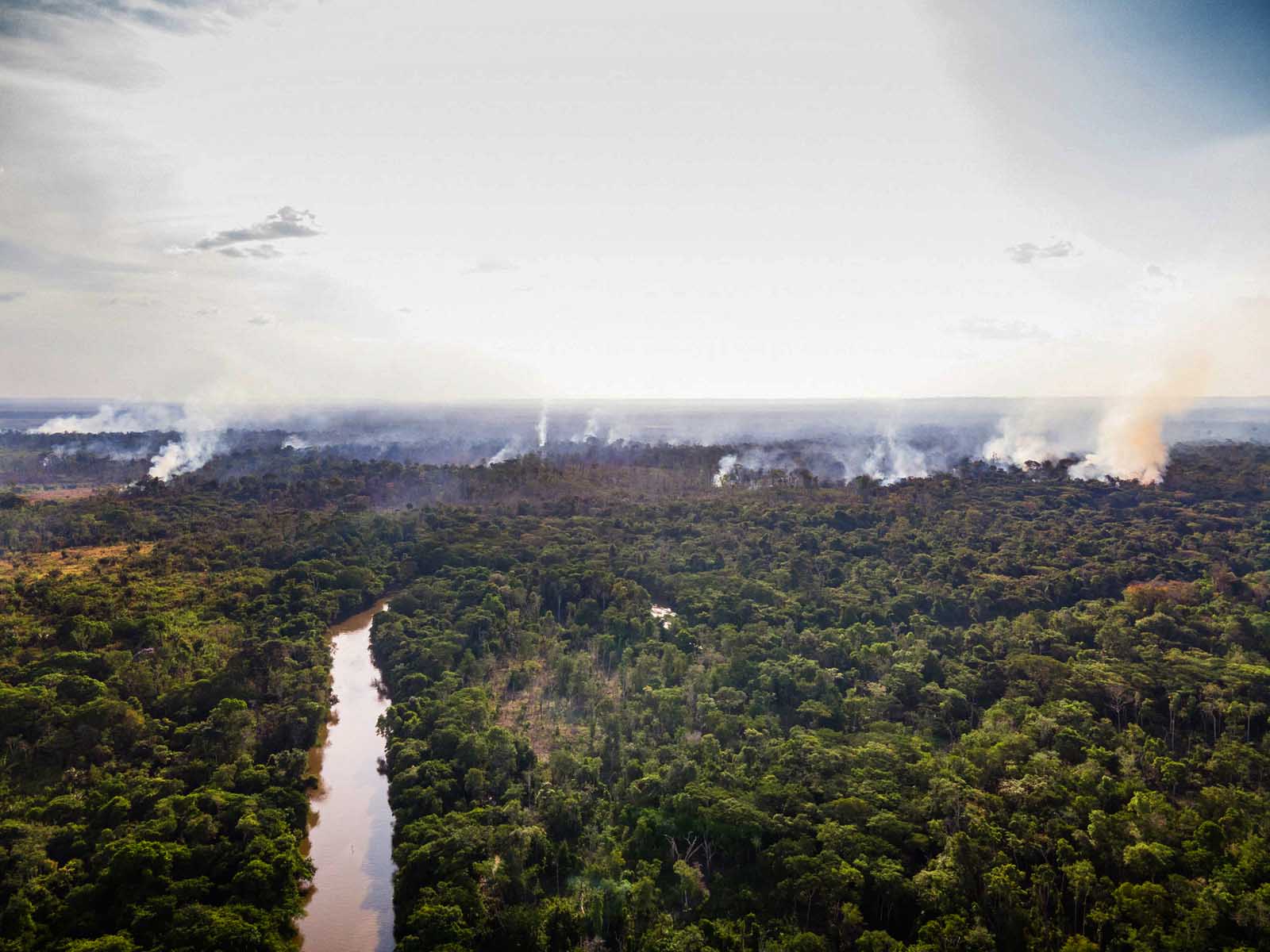 Marco regulatório do mercado de carbono deve ser ‘lapidado’ para votação antes da COP26