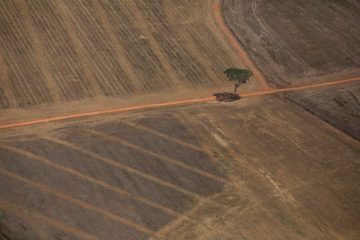 Brasil precisa recuperar credibilidade para atrair financiamento verde, dizem especialistas. Na imagem: Foto aérea de área preparada para monocultura ou pecuária, próxima a Porto Velho; em 07 de agosto de 2020 (Foto: Bruno Kelly/Amazônia Real)