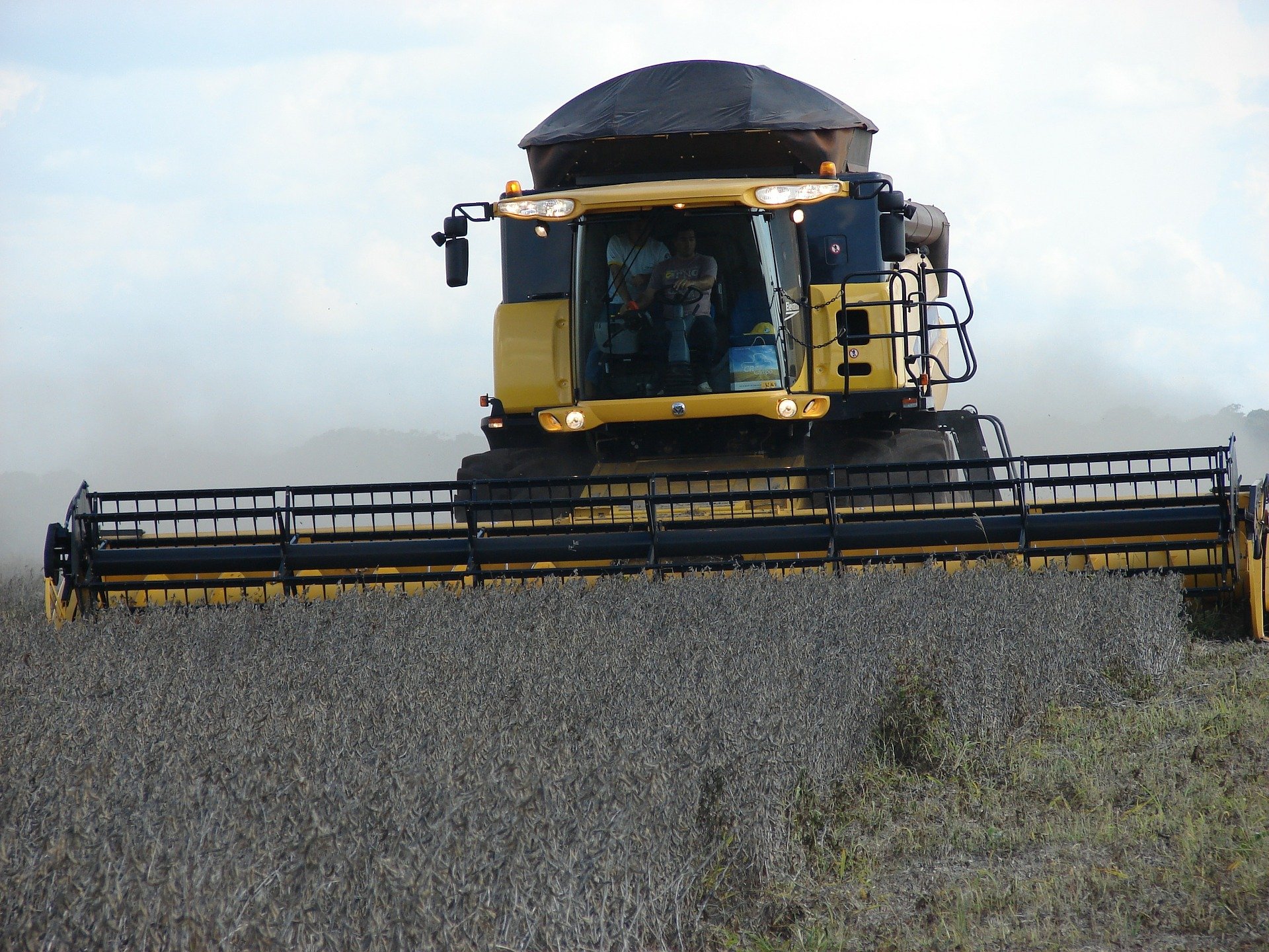 Desmatamento e mudança climática colocam em risco nova fronteira agrícola brasileira