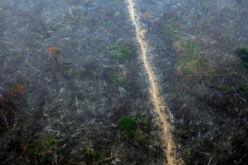 Organizações lançam propostas climáticas emergenciais para “sucessor de Bolsonaro”. Na imagem, fogo na Floresta Nacional do Jamanxim, município de Novo Progresso (Foto Marizilda Cruppe/Amazônia Real/Amazon Watch). Devastação em unidades de conservação disparou no governo Bolsonaro