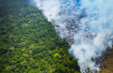 Relatório da Rainforest Action Network mostra que bancos e grandes marcas globais falham em dar respostas a conflitos em florestas tropicais. Na imagem, sobrevoo flagra queimada na floresta Amazônica, no Pará (Foto: Araquém Alcântara/WWF Brasil)