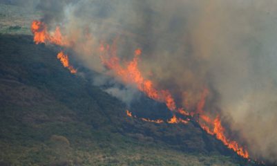 Eventos cada vez mais extremos, impacto do CBIO no etanol e racionamento de gás na UE. Na imagem: Mata em chamas em em Itaipava devido a uma sucessão de incêndios florestais de grandes proporções na Região Serrana do Rio (Foto Fernando Frazão/Agência Brasil)