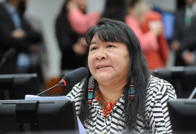 Segurança climática pode ganhar status de direito fundamental. Na imagem, Joenia Wapichana, deputada federal (Foto: Billy Boss/Câmara dos Deputados)