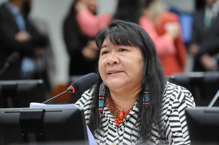 Segurança climática pode ganhar status de direito fundamental. Na imagem, Joenia Wapichana, deputada federal (Foto: Billy Boss/Câmara dos Deputados)