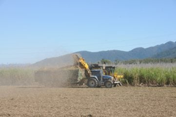 Tecnologia brasileira promete elevar em 120% a extração de açúcar para etanol 2G. Na imagem: Tratores em operação em lavoura de cana-de-açúcar (Foto: Kathryn Bowman/Pixabay)