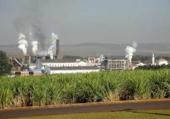 Governo estuda aumentar mistura de etanol anidro na gasolina para 30%, diz Silveira. Usina São Martinho, produtora de açúcar e etanol em Pradópolis, São Paulo (Foto: Marco Aurélio Esparza/Wikimedia Commons)