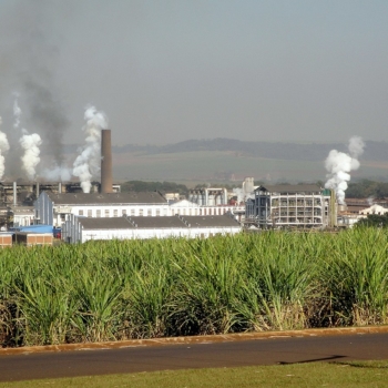 Governo estuda aumentar mistura de etanol anidro na gasolina para 30%, diz Silveira. Usina São Martinho, produtora de açúcar e etanol em Pradópolis, São Paulo (Foto: Marco Aurélio Esparza/Wikimedia Commons)