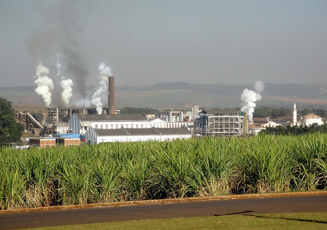 Governo estuda aumentar mistura de etanol anidro na gasolina para 30%, diz Silveira. Usina São Martinho, produtora de açúcar e etanol em Pradópolis, São Paulo (Foto: Marco Aurélio Esparza/Wikimedia Commons)