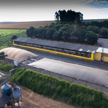 Na imagem: Projeto da Copel e Itaipu gera energia a partir do biogás de dejetos de suínos na granja em São Miguel do Iguaçu, no Oeste do Paraná (Foto: Divulgação)