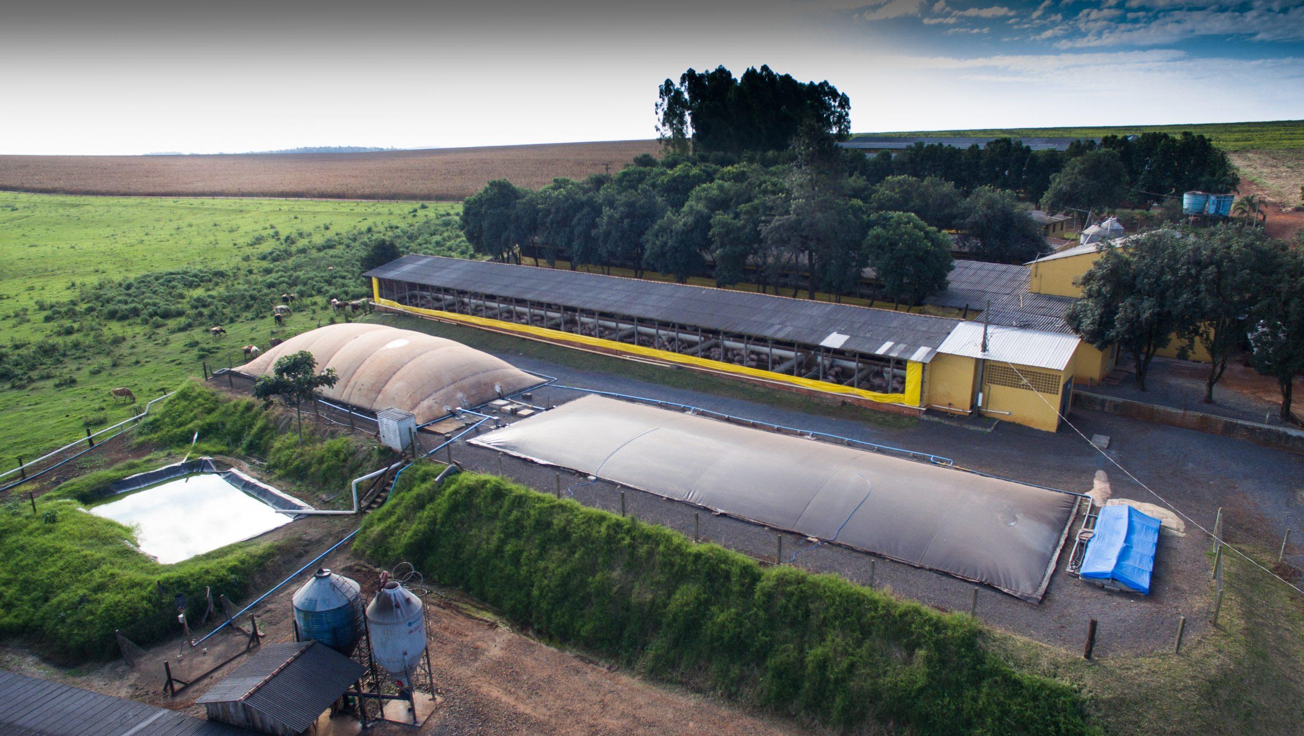 Na imagem: Projeto da Copel e Itaipu gera energia a partir do biogás de dejetos de suínos na granja em São Miguel do Iguaçu, no Oeste do Paraná (Foto: Divulgação)