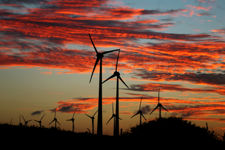 Complexo eólico Oitis da Neoenergia (Foto Divulgação Iberdrola)