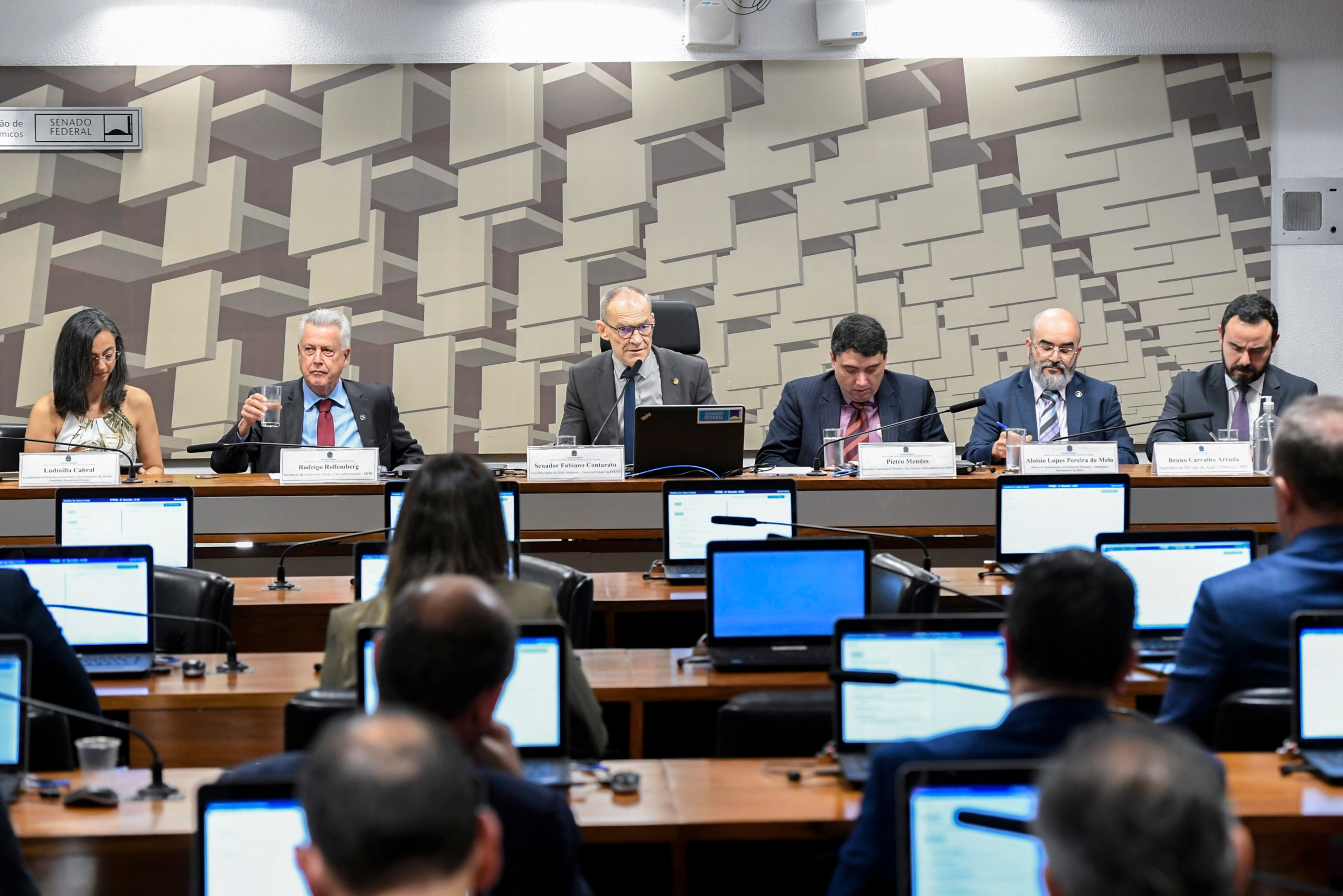 Lei precisa impedir greenwashing para mercado de carbono ser reconhecido no exterior. Na imagem: Audiência pública da Frente Parlamentar de Recursos Naturais e Energia (FPRNE), no Senado em 12/7/23 (Foto: Jefferson Rudy/Agência Senado)