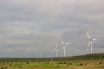 Hidrogênio verde na América Latina: Moradores de Tambores, no norte do Uruguai, veem risco no uso excessivo de água em usina de H2V. Na imagem: Turbinas eólicas na Rota Nacional 5, uma das principais rodovias do Uruguai. Em Tambores, a nova usina de hidrogênio verde será abastecida com energia eólica e solar (Foto: Ramiro Barreiro/Diálogo Chino)