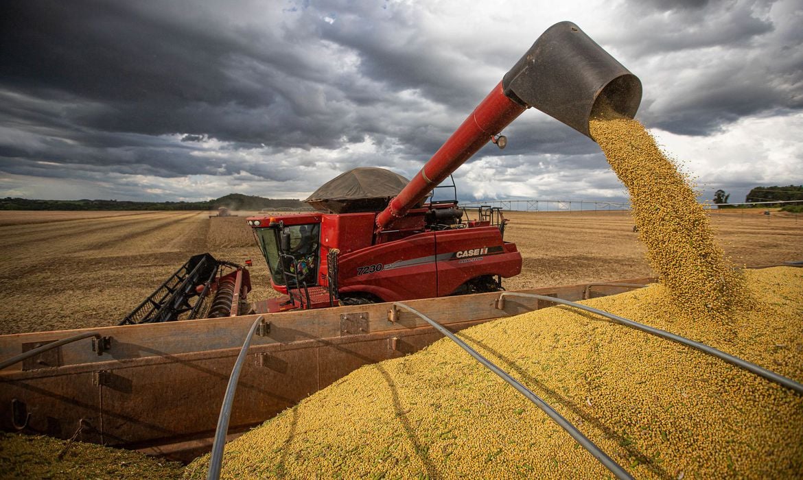 Processadora de grãos Caramuru inicia comercialização de etanol hidratado de soja em Sorriso, no Mato Grosso. Na imagem: colheitadeira de soja despejando grãos em caminhão (Foto: Agência Brasil)