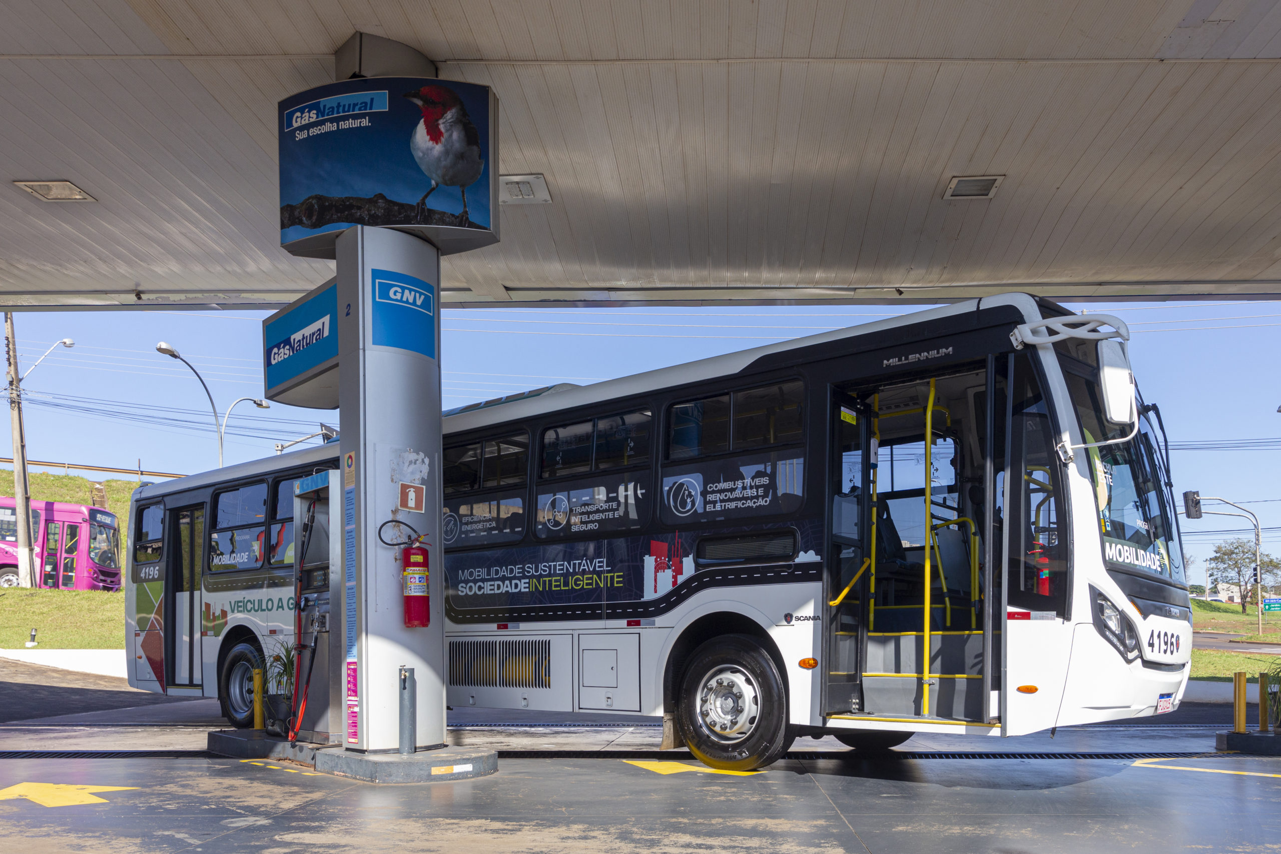 Com corredores azuis, mercado de gás (GNV e biometano) pretende avançar sobre o diesel no Paraná. Na imagem: Ônibus 100% a biometano testado em Londrina (PR), conectado à bomba em posto de abastecimento de GNV e biometano (Foto: Cortesia Compagas)