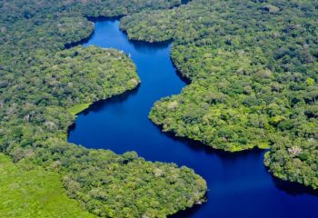 Vista aérea da Floresta Amazônica, perto de Manaus, capital do estado do Amazonas (Foto Neil Palmer/CIAT)