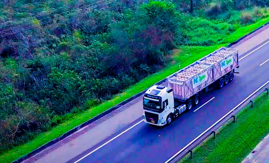 Entenda principais questões das discussões sobre gasodutos virtuais na ANP. Na imagem: Vista aérea de arreta carregada com cilindros, na cor rosa, para transporte de gás natural comprimido (GNC) da NEOGás (Foto: Cortesia/NEOGás)