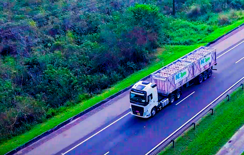 Entenda principais questões das discussões sobre gasodutos virtuais na ANP. Na imagem: Vista aérea de arreta carregada com cilindros, na cor rosa, para transporte de gás natural comprimido (GNC) da NEOGás (Foto: Cortesia/NEOGás)