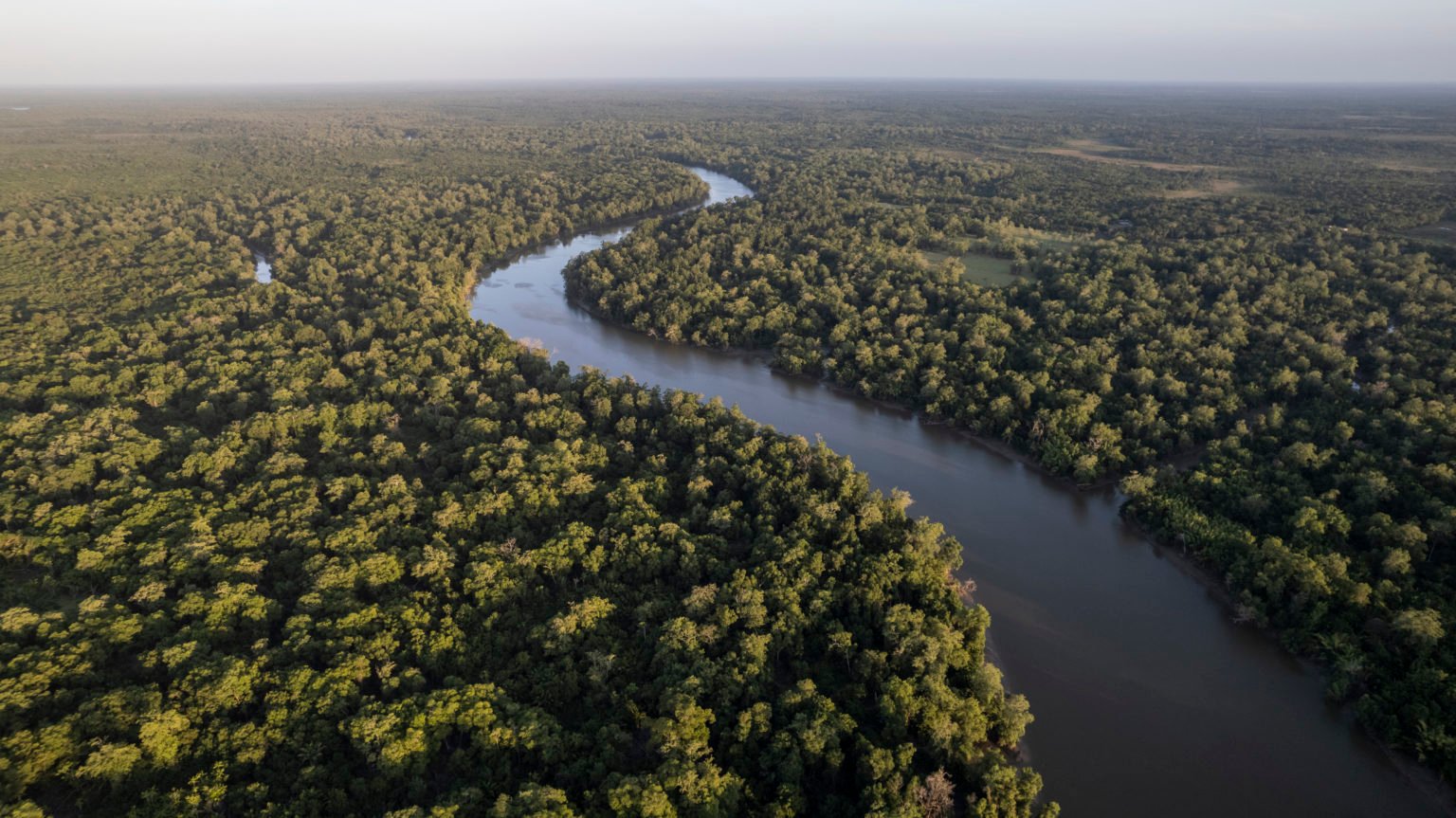 Petrobras adquire créditos de carbono gerados a partir da preservação de 570 hectares da floresta amazônica. Na imagem: Grande volume denso de árvores na Floresta amazônica cortada por rio em dia ensolarado (Foto: Anderson Coelho/E+/Getty Images)