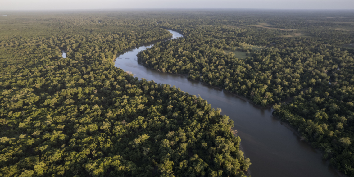 Petrobras adquire créditos de carbono gerados a partir da preservação de 570 hectares da floresta amazônica. Na imagem: Grande volume denso de árvores na Floresta amazônica cortada por rio em dia ensolarado (Foto: Anderson Coelho/E+/Getty Images)