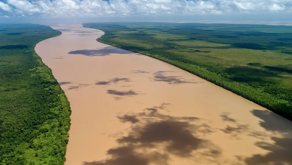 Biodiversidade costeira que pode ser impactada pela exploração de petróleo na Foz do Amazonas, no Amapá (Foto Divulgação Parque Nacional do Cabo Orange)