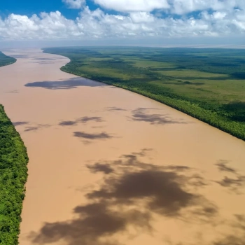 Biodiversidade costeira que pode ser impactada pela exploração de petróleo na Foz do Amazonas, no Amapá (Foto Divulgação Parque Nacional do Cabo Orange)