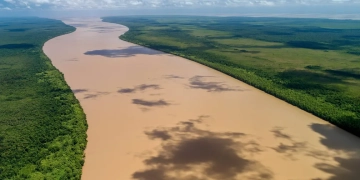 Ibama pediu à Funai avalição de impacto em terras indígenas para licenciamento da exploração na Foz do Amazonas. Na imagem: Biodiversidade costeira que pode ser impactada pela exploração de petróleo na Foz do Amazonas, no Amapá (Foto: Divulgação Parque Nacional do Cabo Orange)