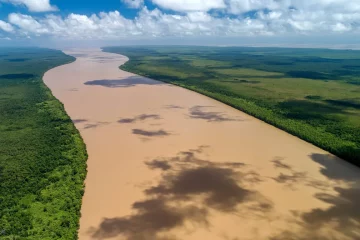 Biodiversidade costeira que pode ser impactada pela exploração de petróleo na Foz do Amazonas, no Amapá (Foto Divulgação Parque Nacional do Cabo Orange)