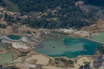 Agendas da COP: Florestas, mineração e mercado de carbono