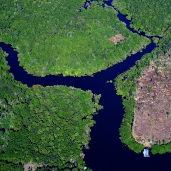 Brasil precisa cortar desmatamento pela metade para cumprir sua contribuição nacionalmente determinada (NDC) ao Acordo de Paris até 2025. Na imagem: Foto aérea de áreas de desmatamento no município de Careiro da Várzea, no Amazonas, próximo às terras indígenas do povo Mura (Foto: Alberto César Araújo/Amazônia Real)