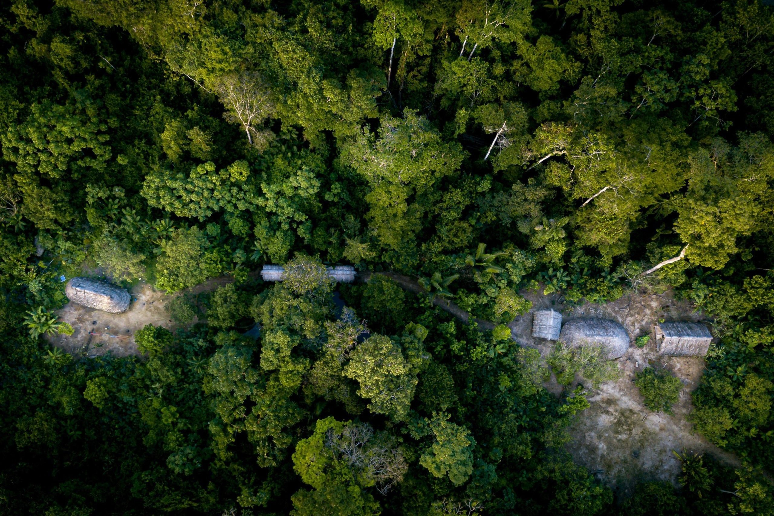 Governo Lula vai enviar ao Congresso Nacional projeto para desenvolvimento sustentável na Amazônia. Na imagem: Vista aérea de comunidade indígena Shiwiar, na região de Pastaza, Amazônia equatoriana. Acredita-se que os povos indígenas protejam 80% da biodiversidade restante do mundo, embora representem apenas 6% da população global (Foto: Mark Fox/Alamy)