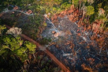 Brasil vai à COP28 destacando controle do desmatamento, mas longe de cumprir metas climáticas do Acordo de Paris. Na imagem: Vista aérea da floresta amazônica com grande extensão desmatada ilegalmente e queimada, a partir de setembro de 2020, atingindo fortemente a aldeia Ka'a kyr, na Terra Indígena Alto Rio Guamá (Foto: Cícero Pedrosa Neto/Amazônia Real)